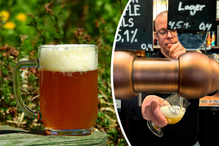 Sampo Järvi / Pikkulintu